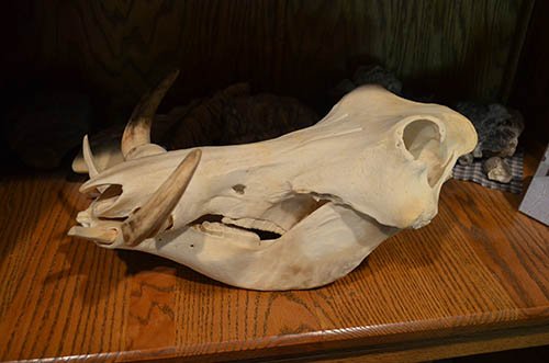 Property photo 94 - Personal Property Auction, Tractor & Implements, Cars, Lawn & Garden, Hunting & Fishing, Guns, Antiques & Collectibles, Household